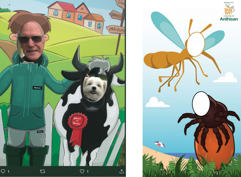 Photo Cutout Boards at Countryfile Live