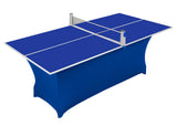 Blue table tennis table